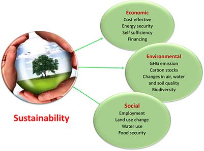 Microalgal Biodiesel Production: Realizing the Sustainability Index